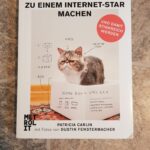 Wie Sie Ihre Katze zu einem Internetstar machen