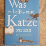 Was es heißt, eine Katze zu sein