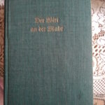 Der Wirt an der Mahr