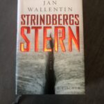 Strindbergs Stern