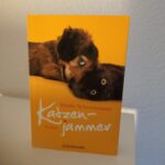 Katzenjammer