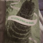 Die Spiegelreisende Band 3 - Das Gedächtnis von Babel